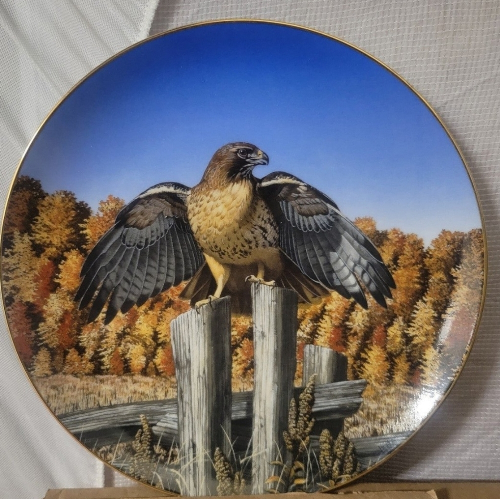 Realm of the Red-tail Hawk Majesty of Flight